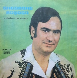 Gheorghe Rosoga – La fantana-ntre valcele