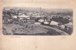 Iasi. Vedere Generala (circa 1900, necirculata)