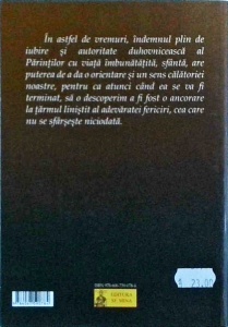 Ioan C. Tesu - Teologia necazurilor - Img 2