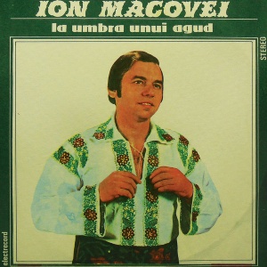 Ion Macovei – La umbra unui agud