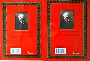 Jules Verne - Copiii capitanului Grant, 2 volume - Img 2