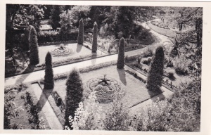 Kolozsvar. Botanikus-kert (necirculata)