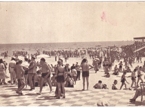 Mamaia (necirculata)