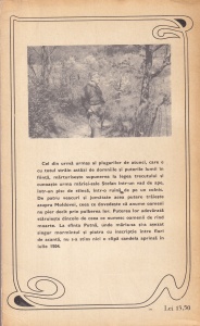 Mihail Sadoveanu - Viata lui Stefan cel Mare. Nicoara Potcoava - Img 2