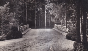 Pitesti. Parcul Trivale Podul (necirculata)