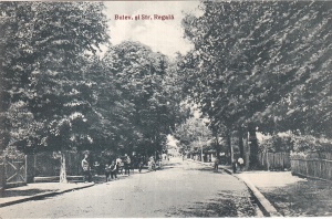 Salutari din Baile Pucioasa. Bulev. si str. Regala (necirculata)