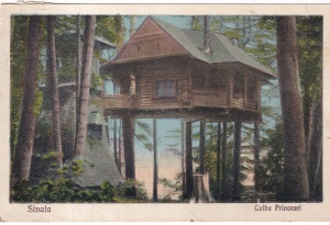 Sinaia. Cuibu Princesei (circulata 1930)