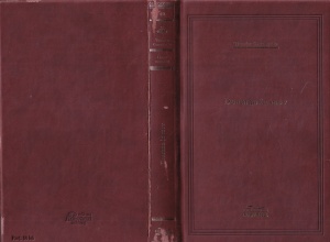 Theodor Constantin - Doamna in mov