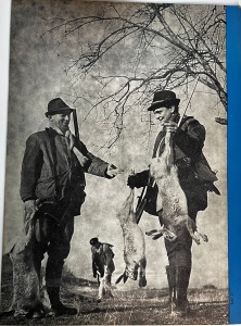 Vanatorul si pescarul sportiv nr. 1-12, ianuarie-decembrie 1965 (12 numere, an complet) - Img 3