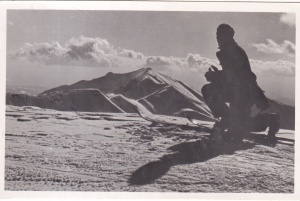 „Toroiaga” 1939 metri. Judetul Maramures (necirculata, ocupatia maghiara)