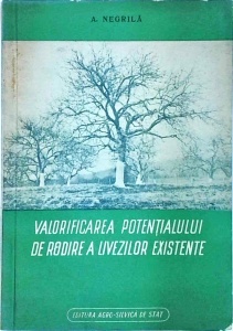 A. Negrila - Valorificarea potentialului de rodire a livezilor existente