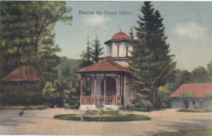 Biserica din Parcul Ostrov. Calimanesti-Valcea (necirculata) - Img 1