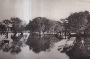 Bucuresti. Lacul Herastrau (circulata 1959)