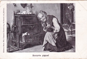 Bucuria pisicei (circulata 1900)