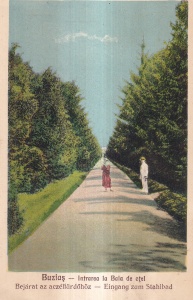 Buzias. Intrarea la Baia de otel (1927, necirculata)