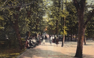 Buziasiurdo. Harsfa setany (circulata 1912)