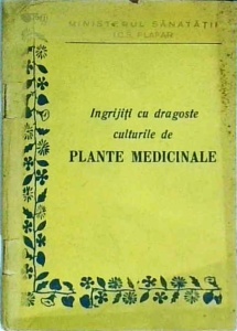 Cultivati si ingrijiti cu dragoste plantele medicinale si aromate