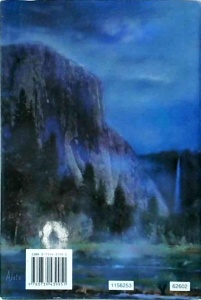 Diane Tyrrel - On the Edge of the Woods - Img 2