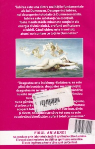 Emanuel Swedenborg - Despre iubirea in cuplu - Img 2