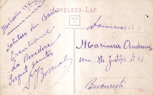 Herkulesfurdo. Villa ,,Valusescu Danilla" (scrisa 1921) - Img 2