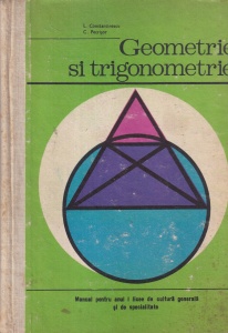 L. Constantinescu, C. Petrisor - Geometrie si trigonometrie. Manual pentru anul I licee de cultura generala si de specialitate