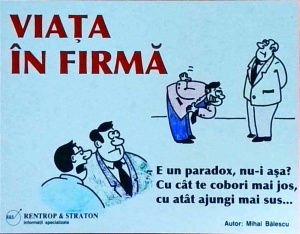 Mihai Balescu - Viata in firma