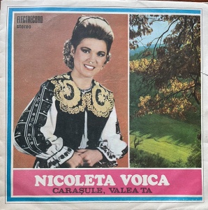 Nicoleta Voica – Carasule, valea ta