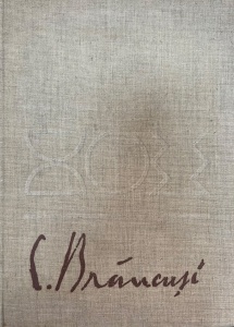 Petre Oprea - C. Brancusi