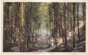 Pitesti. Parcul Trivalea (circulata 1911)
