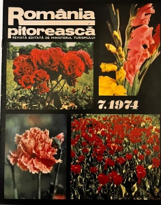 Romania Pitoreasca, nr. 31, iulie 1974