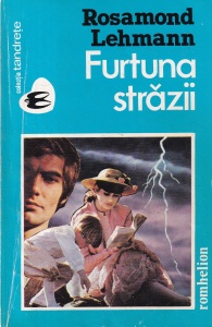 Rosamond Lehmann - Furtuna strazii