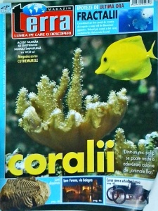 Terra Magazin. Coralii. Dintr-un mic polip se poate naste o adevarata colonie de animale flori