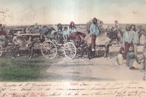 Tigani (circulata 1906)