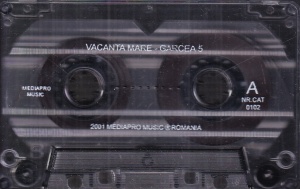 Vacanta Mare – Garcea 5 - Img 4