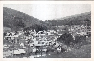 Azuga. Vedere Generala (necirculata)