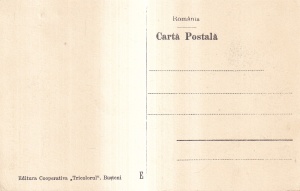 Busteni. Fabrica de hartie si celuloza (necirculata) - Img 2