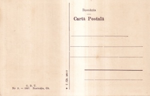 Buzias. Pavilionul de muzica (necirculata, 1927) - Img 2