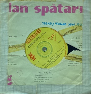 Dan Spataru - Img 2