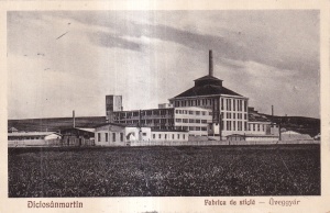 Diciosanmartin. Fabrica De Sticla (circulata 1930)