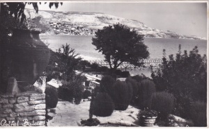 Golful Balcic (necirculata)