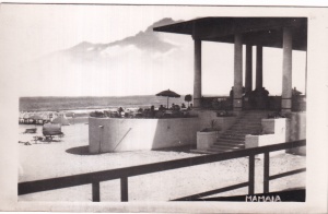 Mamaia. (necirculata)