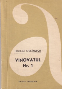 Nicolae Stefanescu - Vinovatul nr. 1