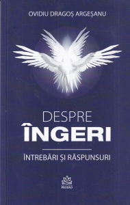 Ovidiu Dragos Argesanu - Despre ingeri. Intrebari si raspunsuri