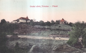 Pitesti. Oculul silvic Trivalea (necirculata)