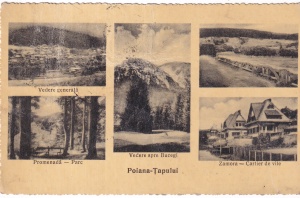 Poiana-Tapului. Vedere generala. Promenada - Parc. Vedere spre Bucegi. Zamora - Cartier de vile (circulata 1938)