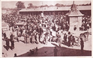 Rosiorii De Vede. In Piata (necirculata, circa 1930)