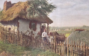 Rumänisches Bauernhaus / Casa taraneasca romaneasca (necirculata)