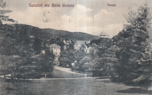 Salutari din Baile Govora. Parcul (circulata 1927)