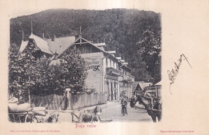 Sinaia. Piata veche - Din colecţinnea Stanceanu & Onofrei (circa 1900)
