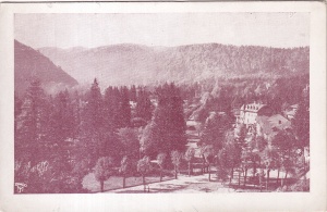 Sinaia. Vederea laterala a Parcului (necirculata)